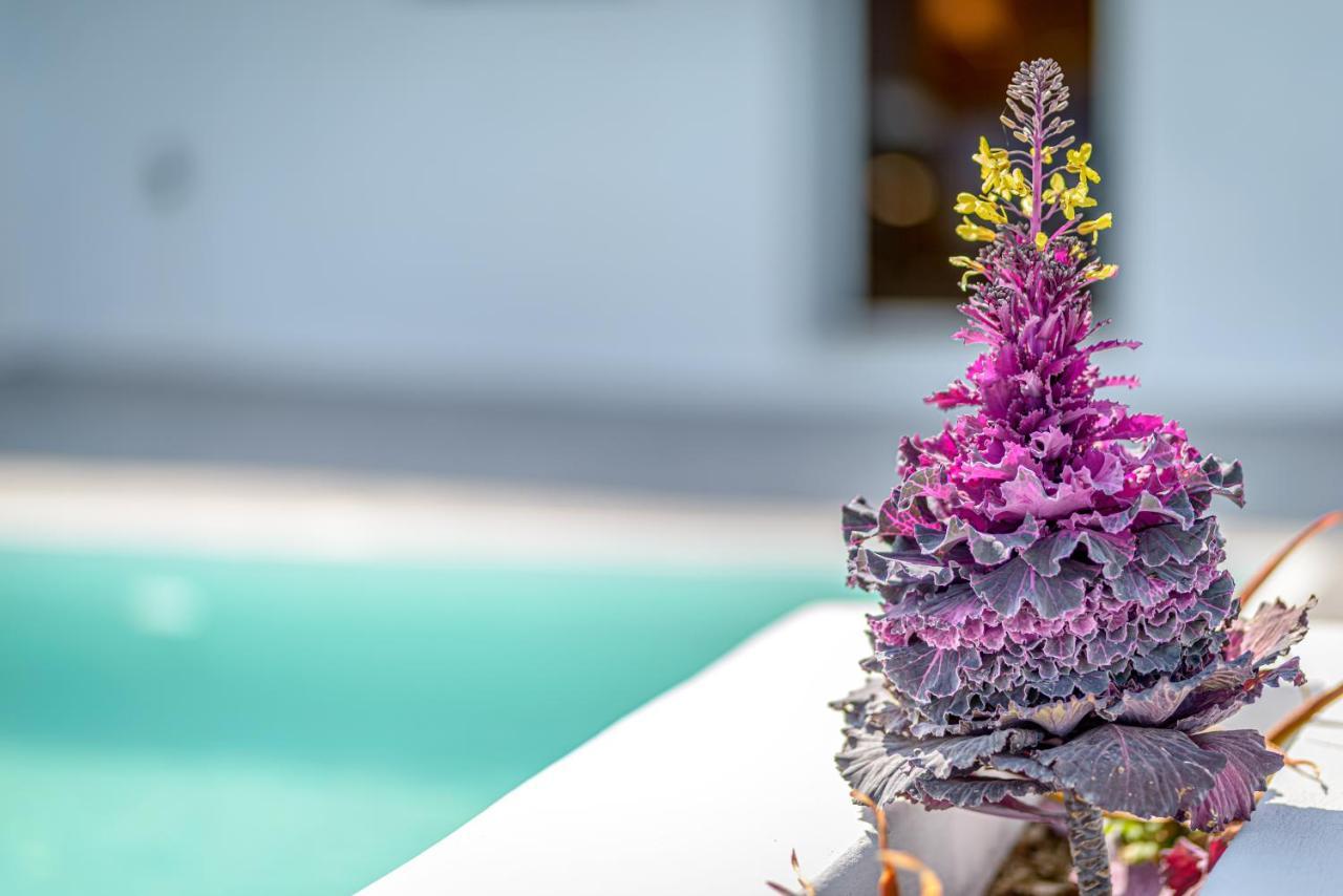 Siete Mares Luxury Suites Imerovigli  Ngoại thất bức ảnh
